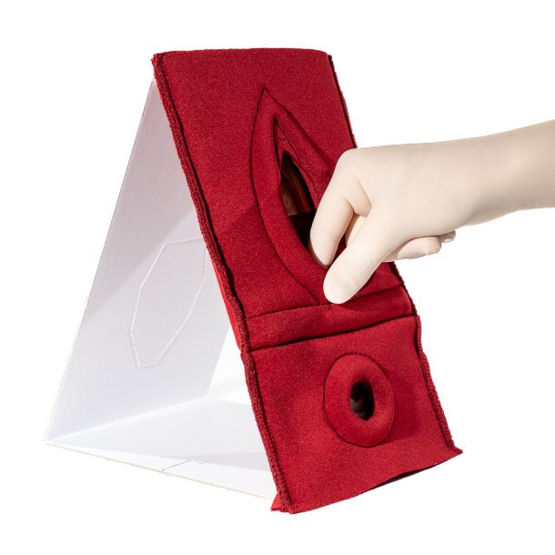 Set Of Palpation Of Superficial Perineal Muscles Nd Degree Trauma And Anal Sphincter Defect