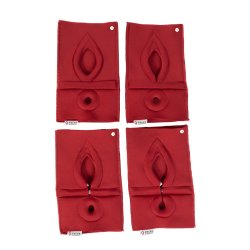 Set of 4: Palpation of superficial perineal muscles, 2nd degree trauma and anal sphincter defect 