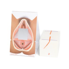 Mediolateral episiotomy repair trainer - patient's right side