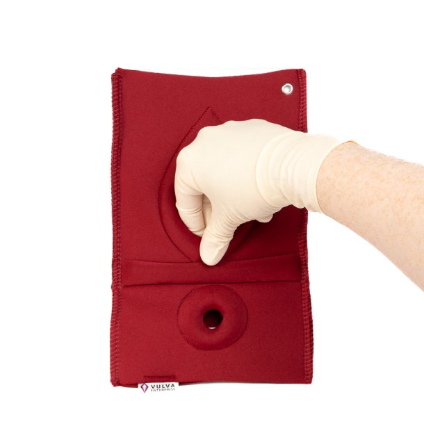 Set of 4: Palpation of superficial perineal muscles, 2nd degree trauma and anal sphincter defect 