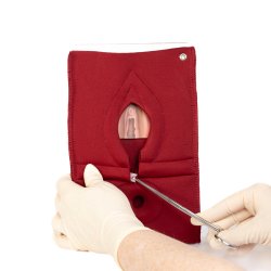 Set of 4: Palpation of superficial perineal muscles, 2nd degree trauma and anal sphincter defect 