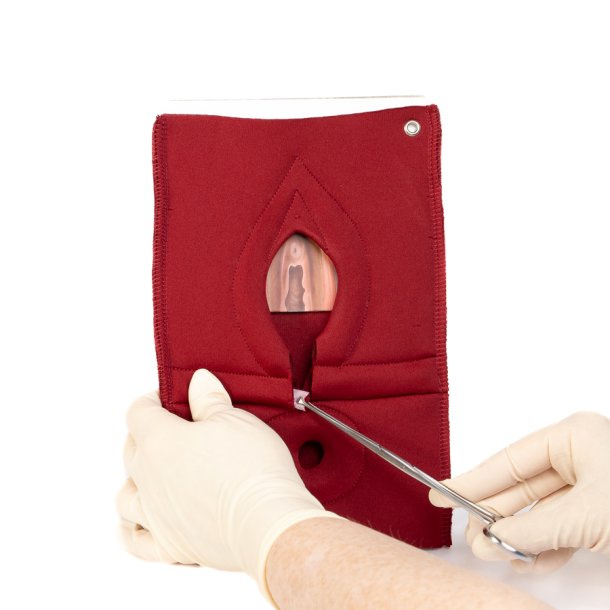 Set of 4: Palpation of superficial perineal muscles, 2nd degree trauma and anal sphincter defect 