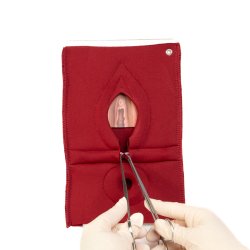 Set of 4: Palpation of superficial perineal muscles, 2nd degree trauma and anal sphincter defect 