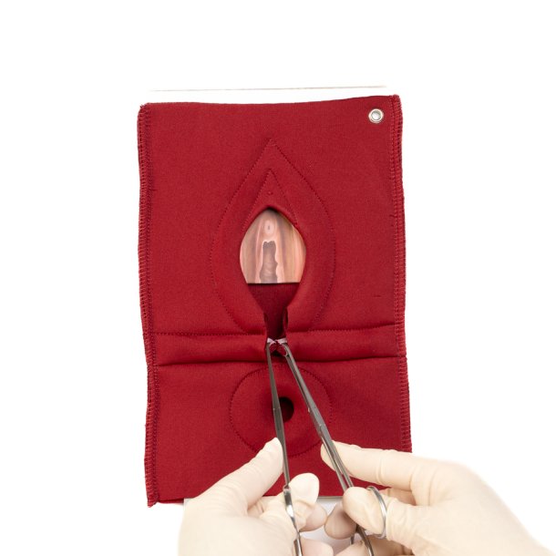 Set of 4: Palpation of superficial perineal muscles, 2nd degree trauma and anal sphincter defect 