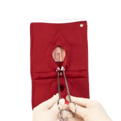 Set of 4: Palpation of superficial perineal muscles, 2nd degree trauma and anal sphincter defect 