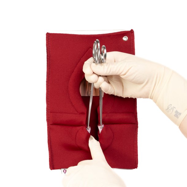 Set of 4: Palpation of superficial perineal muscles, 2nd degree trauma and anal sphincter defect 