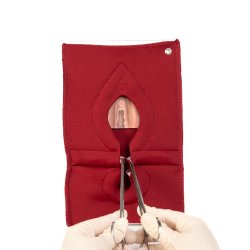 Set of 4: Palpation of superficial perineal muscles, 2nd degree trauma and anal sphincter defect 