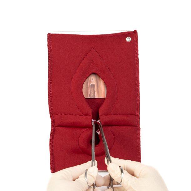 Set of 4: Palpation of superficial perineal muscles, 2nd degree trauma and anal sphincter defect 