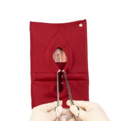 Set of 4: Palpation of superficial perineal muscles, 2nd degree trauma and anal sphincter defect 