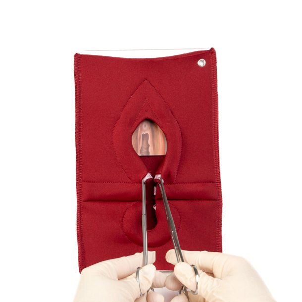 Set of 4: Palpation of superficial perineal muscles, 2nd degree trauma and anal sphincter defect 