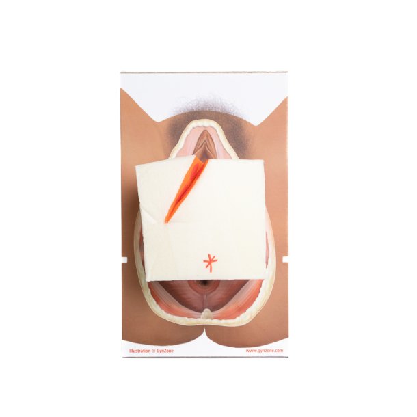 Mediolateral episiotomy repair trainer - patient's right side