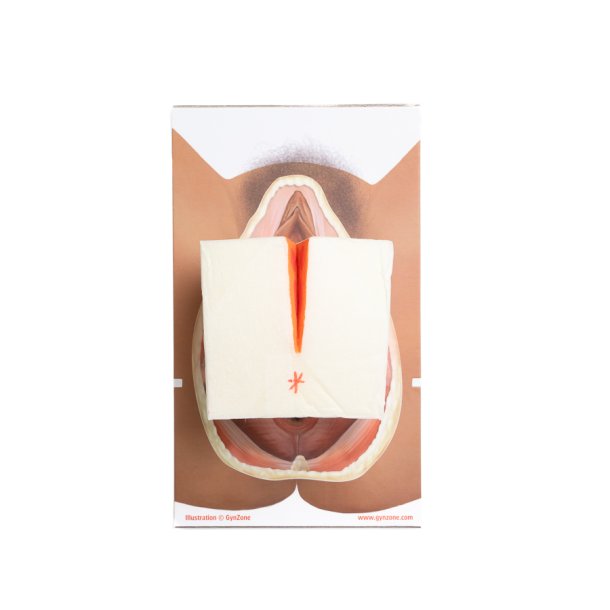 2nd degree repair trainer