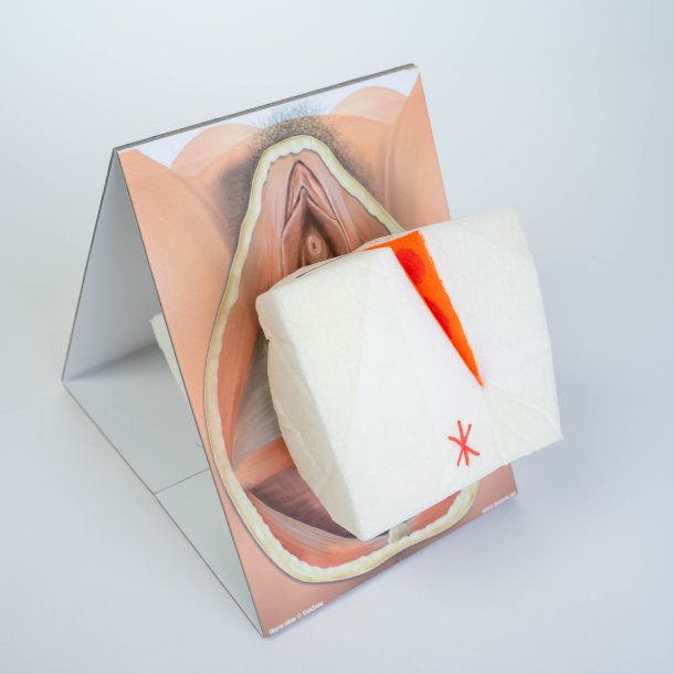 Mediolateral episiotomy repair trainer - with 2 variations. 
