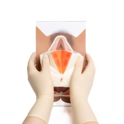 Workshop in a box. Perineal repair of 1st 2nd-degree and mediolateral episiotomy