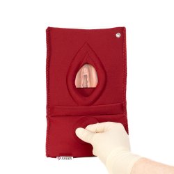 Set of 4: Palpation of superficial perineal muscles, 2nd degree trauma and anal sphincter defect 