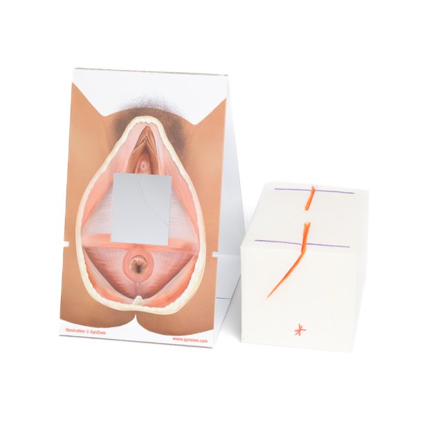 Workshop in a box. Perineal repair of 1st 2nd-degree and mediolateral episiotomy