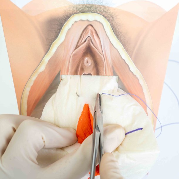 Mediolateral episiotomy repair trainer - patient's left side