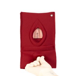 Set of 4: Palpation of superficial perineal muscles, 2nd degree trauma and anal sphincter defect 