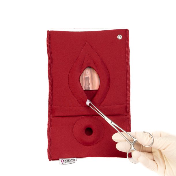 Set of 4: Palpation of superficial perineal muscles, 2nd degree trauma and anal sphincter defect 