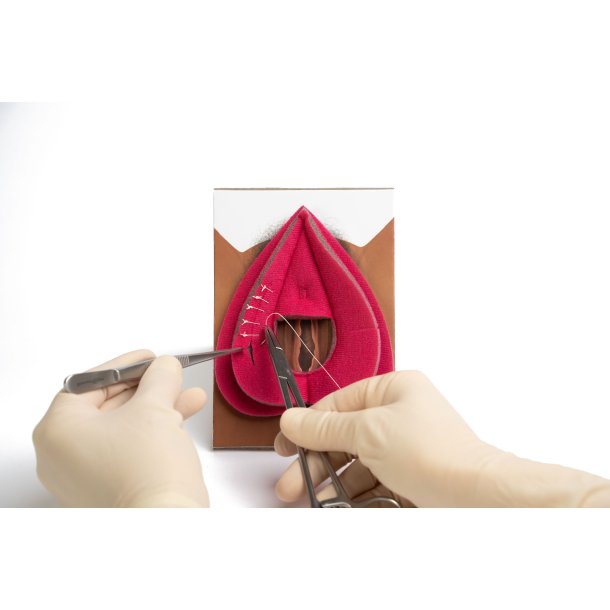 Workshop in a box. Perineal repair of 1st 2nd-degree and mediolateral episiotomy