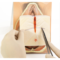 2nd degree repair trainer