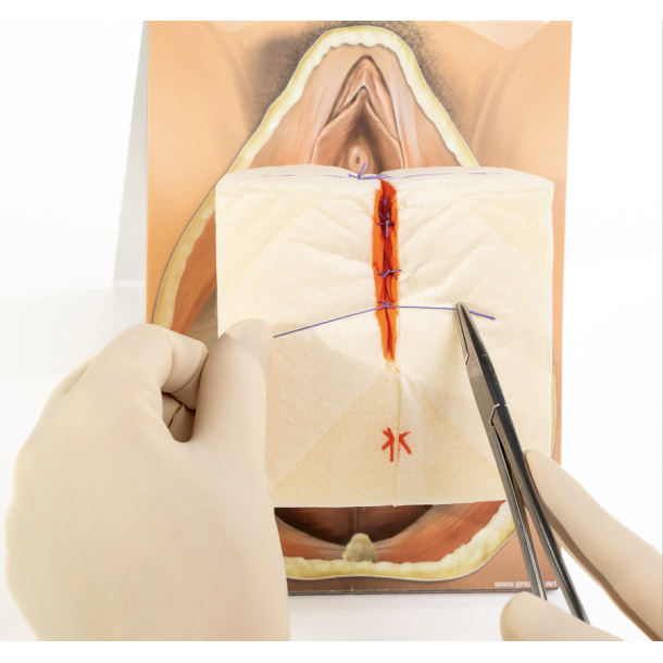 2nd degree repair trainer