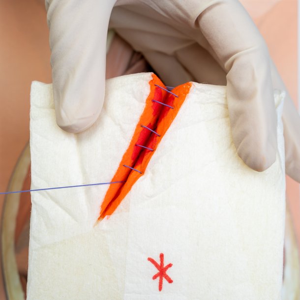 Mediolateral episiotomy repair trainer - with 2 variations. 