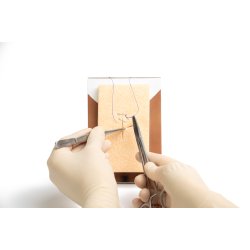 Workshop in a box. Perineal repair of 1st 2nd-degree and mediolateral episiotomy