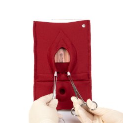 Set of 4: Palpation of superficial perineal muscles, 2nd degree trauma and anal sphincter defect 