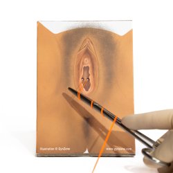 Basic Surgical Skills Suture Kit