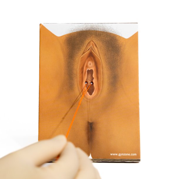 Workshop in a box. Perineal repair of 1st 2nd-degree and mediolateral episiotomy