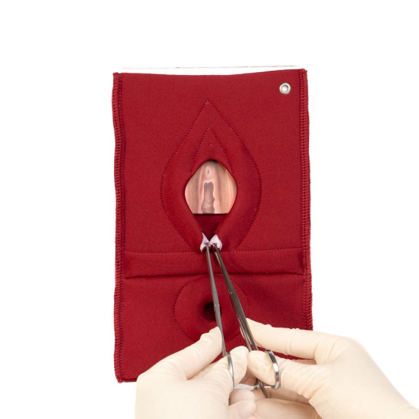 Set of 4: Palpation of superficial perineal muscles, 2nd degree trauma and anal sphincter defect 