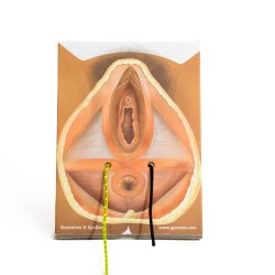 Workshop in a box. Perineal repair of 1st 2nd-degree and mediolateral episiotomy