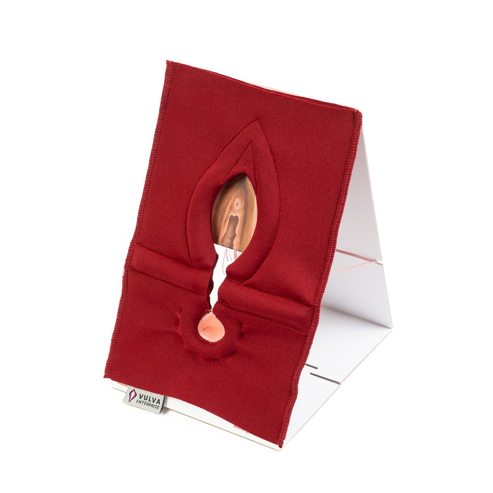 Anal Sphincter Repair Model, Textile - Vulva Enterprise