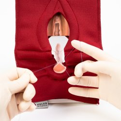 Anal Sphincter Repair Model, Textile