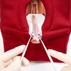 Anal Sphincter Repair Model, Textile