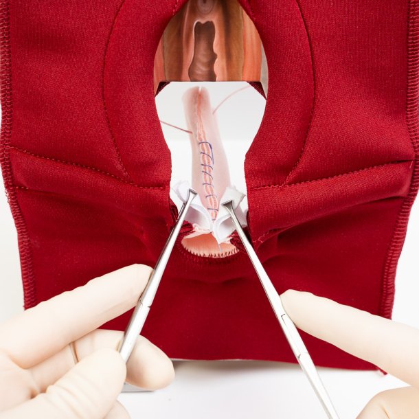 Anal Sphincter Repair Model, Textile