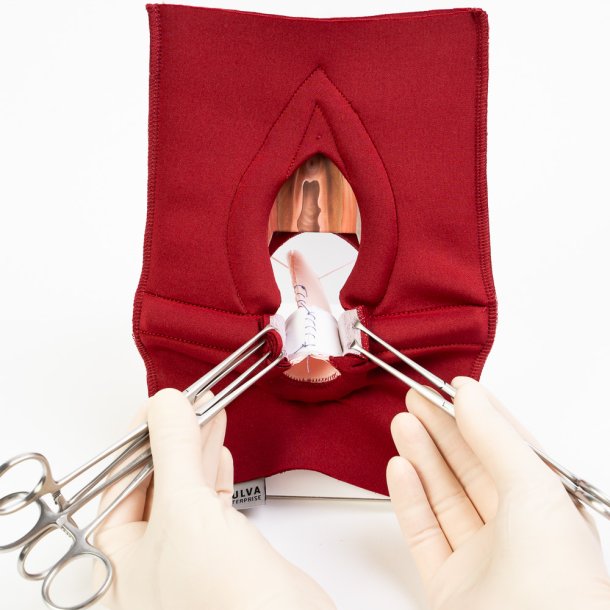 Anal Sphincter Repair Model, Textile
