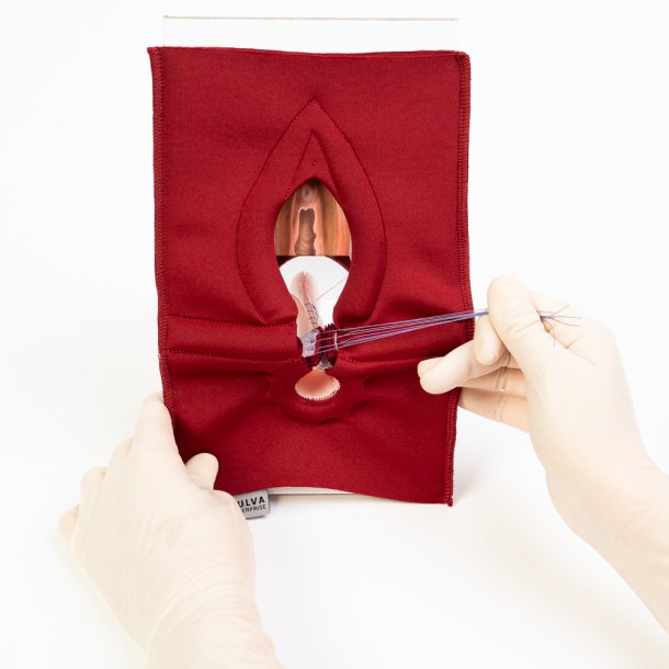 Anal Sphincter Repair Model, Textile