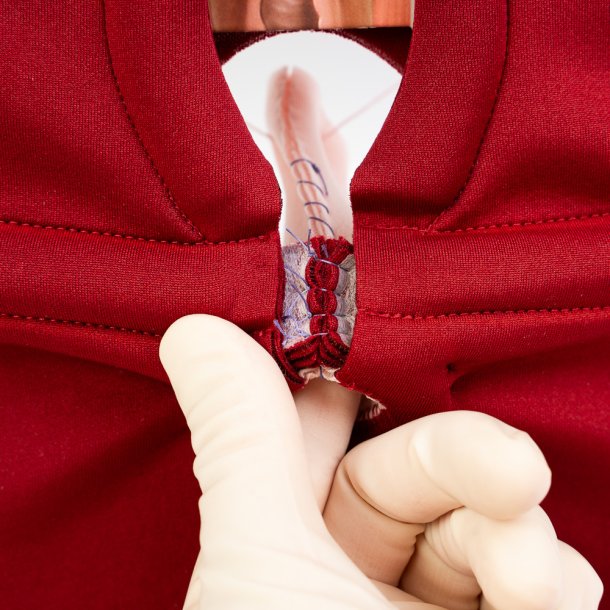 Anal Sphincter Repair Model, Textile