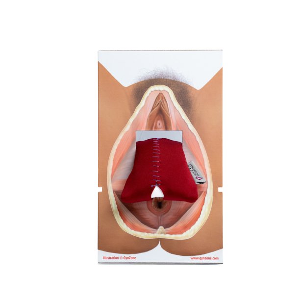Rectovaginal fascia palpation and repair model.