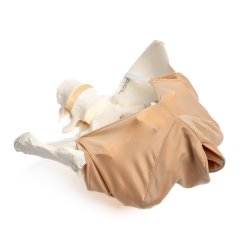 Pudendal block trainer