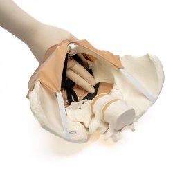 Pudendal block trainer