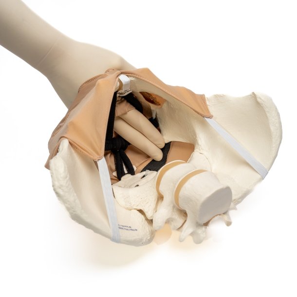 Pudendal block trainer