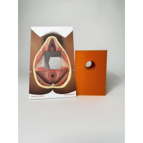 2nd-degree repair trainer, orange