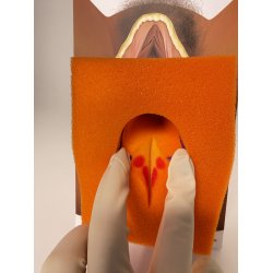 2nd-degree repair trainer, orange